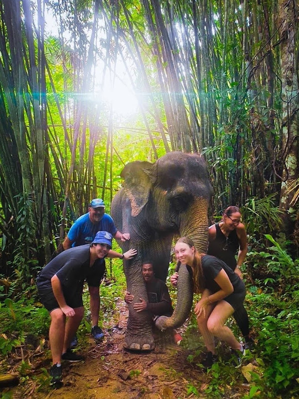 Guests with elephants at Phuket Elephant Park