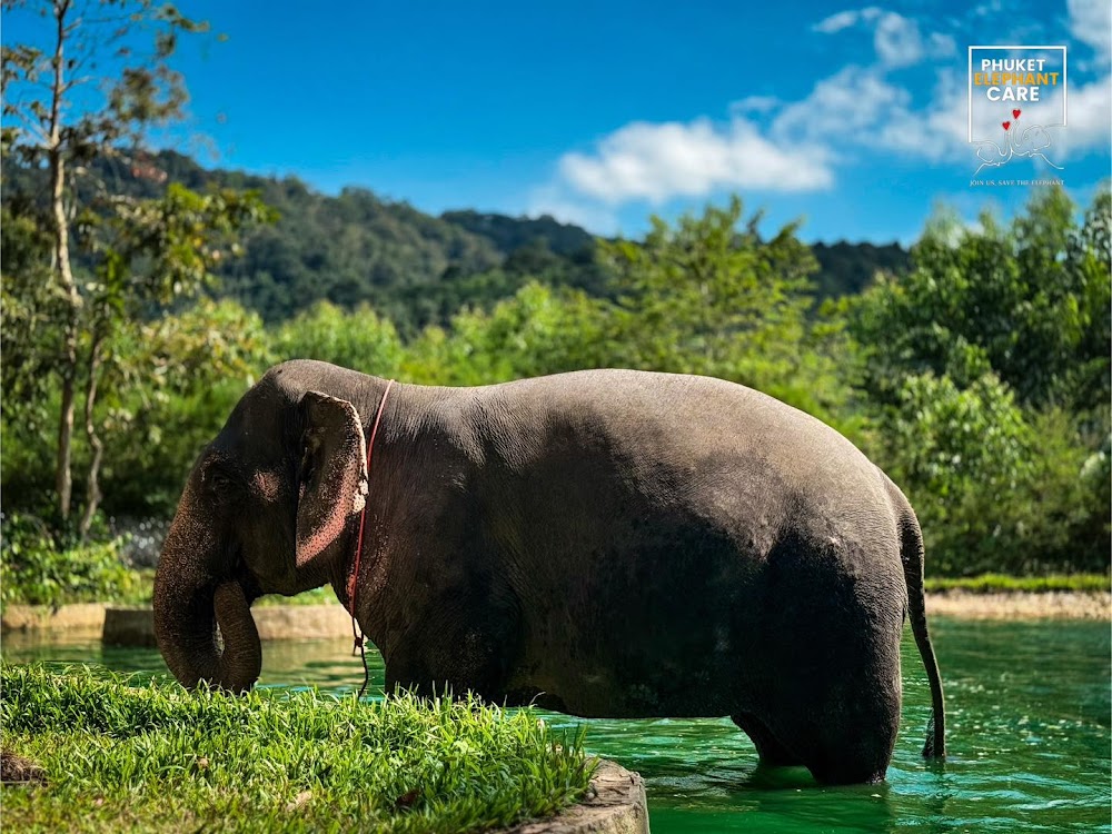Feed and Spa