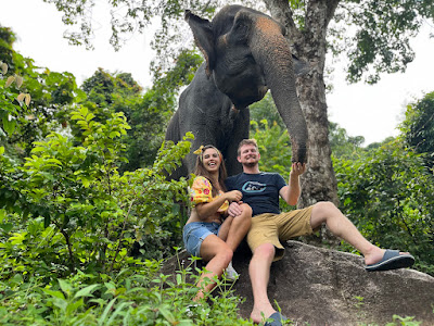 Feeding the elephants