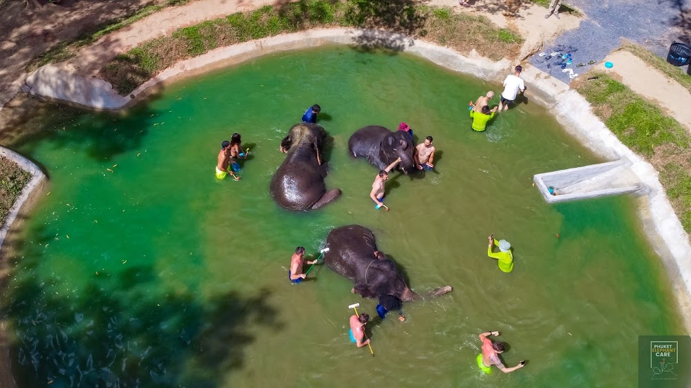 Overnight Elephant Care