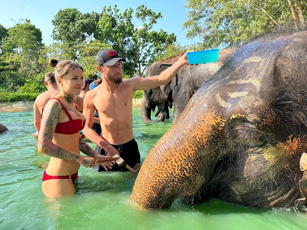 Walking with elephants
