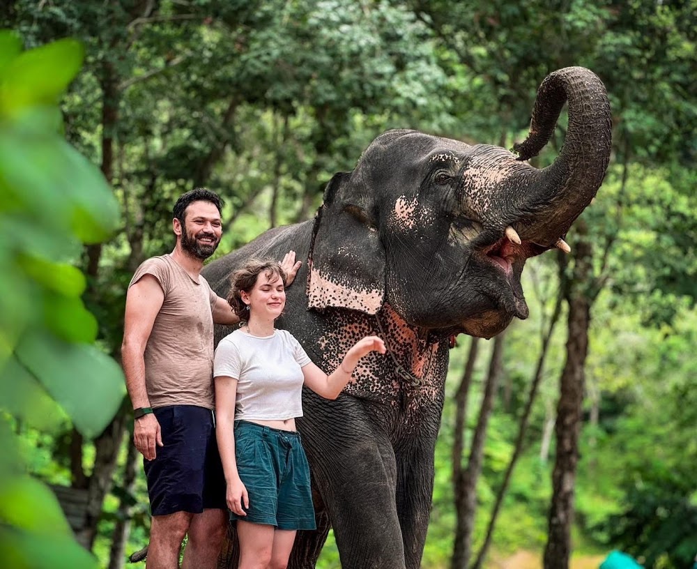 Overnight Elephant Care