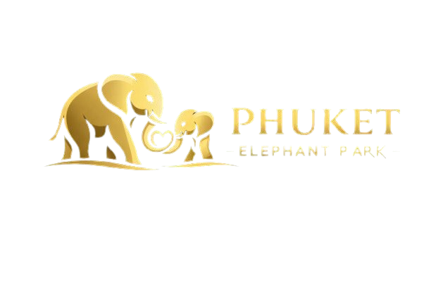 Phuket Elephant Park