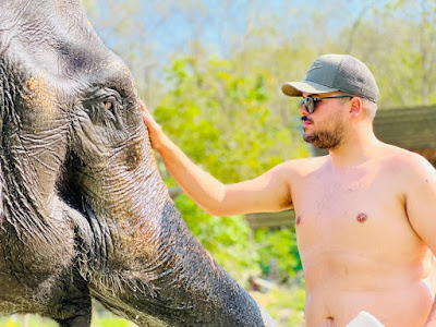 Feed the Elephant program