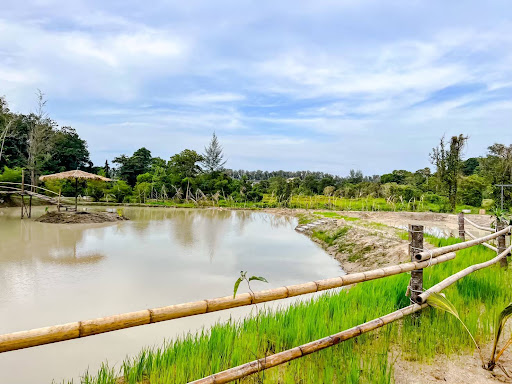 Naithon Sanctuary landscape